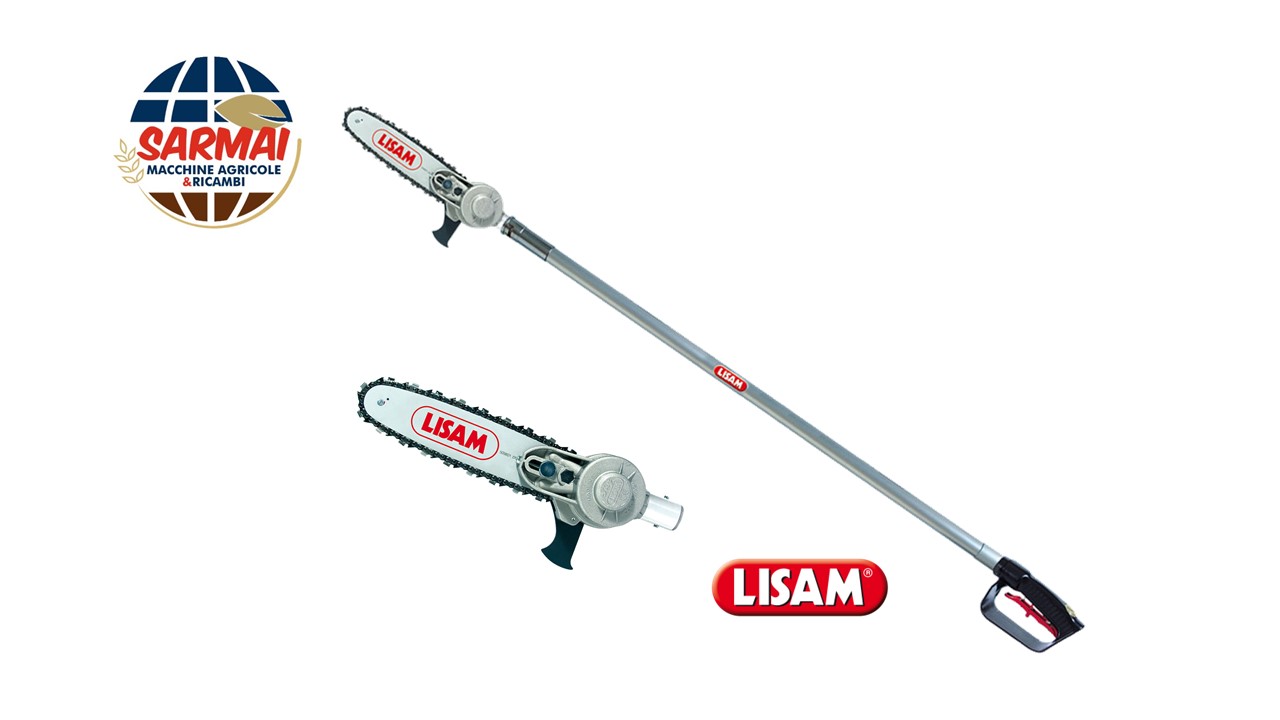 Seghetto potatore pneumatico Lisam SKY 10" su asta telescopica MT 2,00