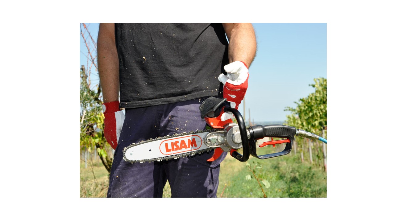 Seghetto potatura pneumatico Lisam SKY-MAN 10" CON BARRA A CATENA A PUNTA - immagine 6