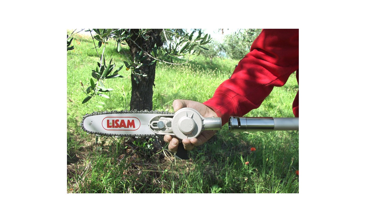 Seghetto potatore pneumatico Lisam SKY 10" su asta telescopica MT 2,00 - immagine 5